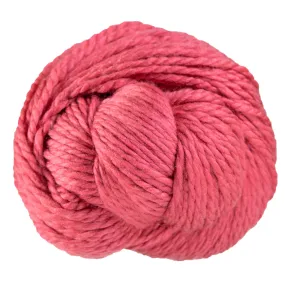 Cascade Yarns 128 Superwash Yarn - 300 Holly Berry