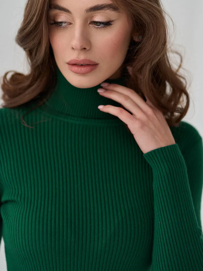 Lisa Turtleneck Women Sweater