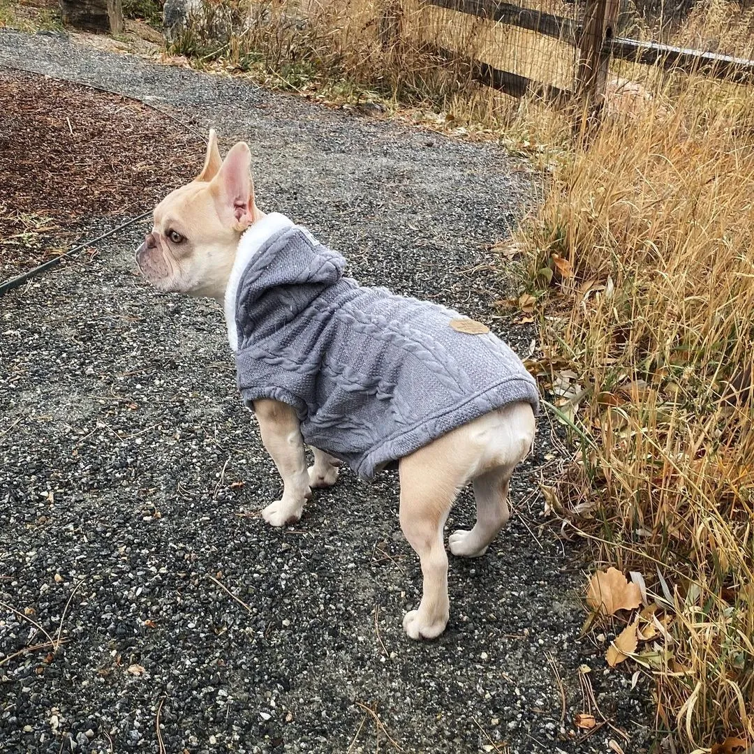 Warm Sweater for French Bulldog  (CS10)